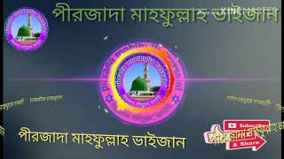 পীরজাদা মাহফুল্লাহ ভাইজান||pirzada mofijullah hussaini