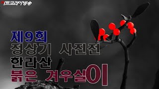 [artkoreatv] 제9회 정상기 '한라산 붉은겨우살이'전