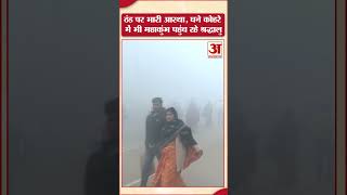 Prayagraj Weather: ठंड पर भारी आस्था, घने कोहरे में भी महाकुंभ पहुंच रहे श्रद्धालु | #shorts