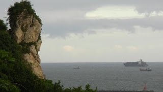 101/ 07/ 21施家班[高雄西子灣 /柴山]2日自由行