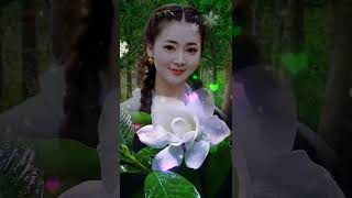 💜麗蓉~ 女人的嫁妝🎶🎧