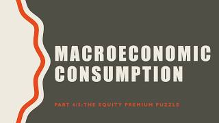 Macroeconomic Consumption 4/5: The Equity Premium Puzzle