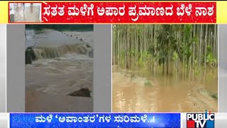 Davanagere: Agricultural Crops Destroyed Due To Heavy Rain