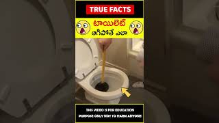 Toilet cleaning device explained #factsintelugu 😱టాయిలెట్ క్లీన్😱 #amazingfacts #truefacts #shorts