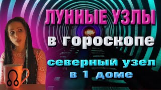 Лунные узлы в гороскопе. Северный узел в 1 доме, Южный узел в 7 доме.