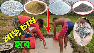 শুকনো পুকুরে চুন দেওয়ার নিয়ম। পুকুরে চুন দেওয়ার হচ্ছে। মাছ চাষের জন্য পুকুর প্রস্তুত। মাছ চাষ SK