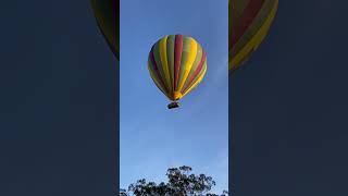 Flying balloon aloft