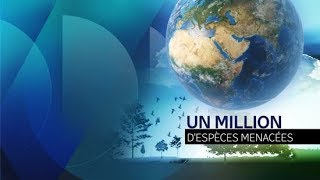 Un million d'espèces menacées d'extinction