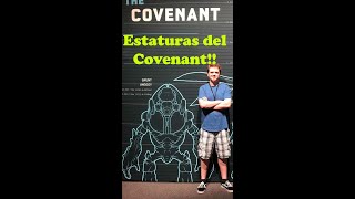 Estaturas del Covenant #halo #xbox #videojuegos