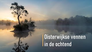 Oisterwijkse vennen in de ochtend