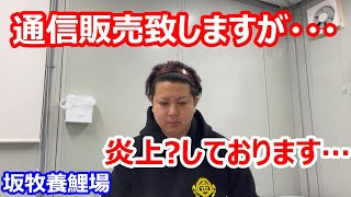 【金太郎錦鯉】　坂牧メイン池池上げ完了！！　　koifarm