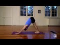 ashtanga yoga for beginners fundamental asanas with jeff lichty