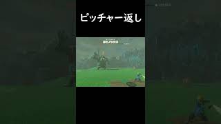 ピッチャー返し 【ゼルダの伝説 ティアーズオブザキングダム】