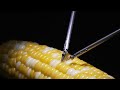 Microsurgery Assistance Robot Stitching a Corn Kernel | Sony Group