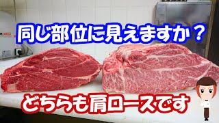 【比較】同じ部位に見えますか？