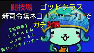 【ぼくとネコ】闘技場ゴッドクラス6/25　新司令塔ネコ「ウェーブ」でガチ対戦！！