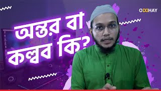 আপনার অন্তর💖 সম্পর্কে আপনি কতটুকু জানেন? ভালো বা মন্দ অন্তর চিনার উপায়। ODDHAY.