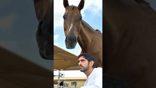 Prince Sheikh Hamdan Fazza 🇦🇪 Leadership Style and Passion for Horses #shortvideo #dubai #prince