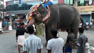 Maruthayur chandanakkudam, പാവറട്ടി മരുതയൂർ ചന്ദനക്കുടം നേർച്ച, ആന, ELEPHANT