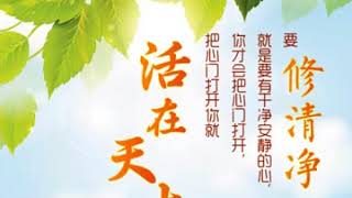 🎵【师父音频】 每日一听✨［白话佛法］✨有干净安静的心，才会把心门打开，心门打开你就活在天上