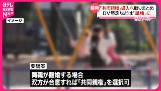 【速報】離婚後の子どもの「共同親権」導入へ  DVのおそれなどの場合は単独親権も  要綱案取りまとめ　法制審