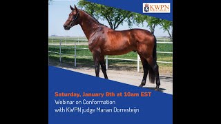 Webinar on conformation with KWPN judge Marian Dorresteijn