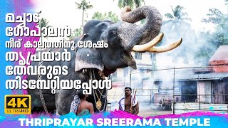 മച്ചാട് ഗോപാലൻ നീര് കാലത്തിനു ശേഷം തൃപ്രയാർ തേവരുടെ തിടമ്പേറ്റിയപ്പോൾ🔥🙏🐘 Machad Gopalan | 4K