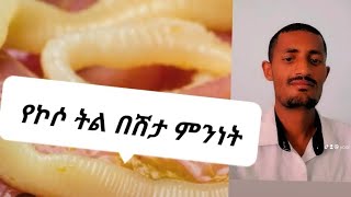 የኮሶ ትል በሽታ ምንነት፡ ምክንያት፡ መፍትሔና መከላከያ መንገዶች