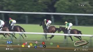 2024 06 08 東京11R ジューンステークス エリカヴァレリア(田辺裕信)