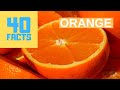 40 Amazing Facts About Orange - Interesting Facts About Orange