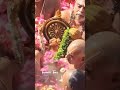 chakra snanam panchami theertham tiruchanur padmavathi ammavaru sri venkateshwara swamy