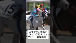 【白毛一族】ユキチャンの息子アマンテビアンコはデビュー戦を勝利！