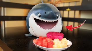 Sneaky Baby Shark Tries to Steal My Dragon Fruit – Watch What Happens!