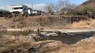 あきる野市　高尾地区散歩