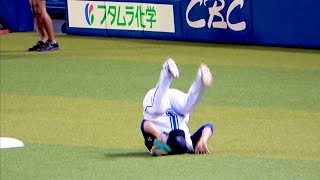 プーさんの迫力ある前転w 横浜DeNAベイスターズ 2024/8/8 宮﨑敏郎