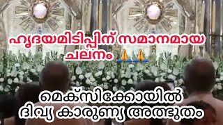 ദിവ്യ കാരുണ്യ ഓസ്തിയിൽ ഹൃദയമിടിപ്പ് | മെക്സിക്കോയിൽ ദിവ്യ കാരുണ്യ അത്ഭുതം