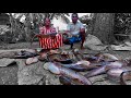 കായല്‍ കരയില്‍ വാള ചാകര |vallago fishing