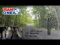 Rally Driving Explained