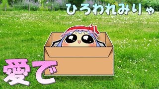 【愛で】ひろわれみりゃ