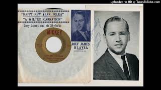 Joey James Hlavsa \u0026 His Skylarks - Happy New Year Polka - Mickey Records (IL) 1960