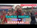 KUCINGAN Feat RAMPOKAN ❗ Jaranan PUTRO SETYO JOYO @bantengsuro_72