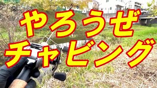 【小物釣り】ベイトリールで1gのルアーをキャスト！チャビングに挑戦だ！