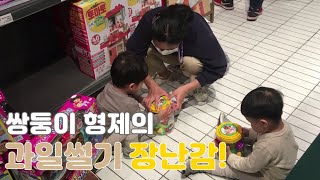 과일자르기 장난감 사달라고 때쓰는 쌍둥이