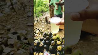 🤤பதனீர் கடைசியா எப்போ குடிச்சீங்க⁉️ #summerdrink #panaimaram #shorts #madurai #நுங்கு