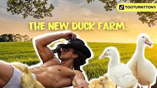 STARTING A DUCK FARM | TooTurntTony