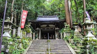 崇道神社 京都 / Sudo Shrine Kyoto