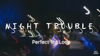Night Trouble - Petit Biscuit • 1hr Loop