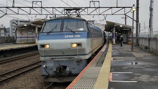 4月5日新座駅 吹田A9運用 4093レ EF66 126