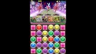 【パズドラ】CDコラボ 禁域の闇 上級 バハムート泥