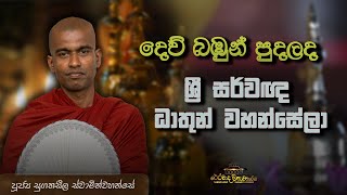 08 දෙව් බඹුන් පුදලද ශ්‍රී සර්වඥ ධාතූන් වහන්සේලා.Maithreepura Sugathaseela Thero